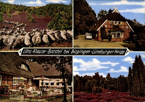 Borstel bispingen - borstel,