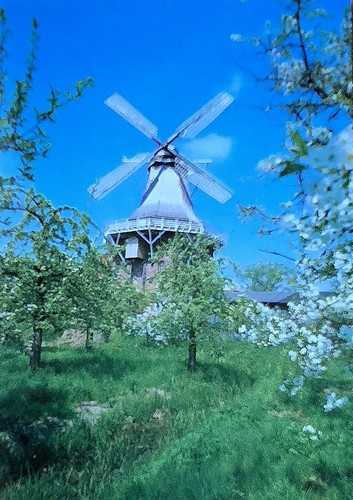 Borstel windmühle 1970er - ak,